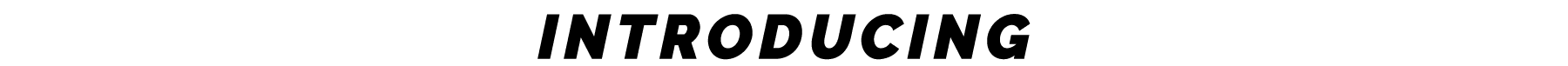 INTRODUCING